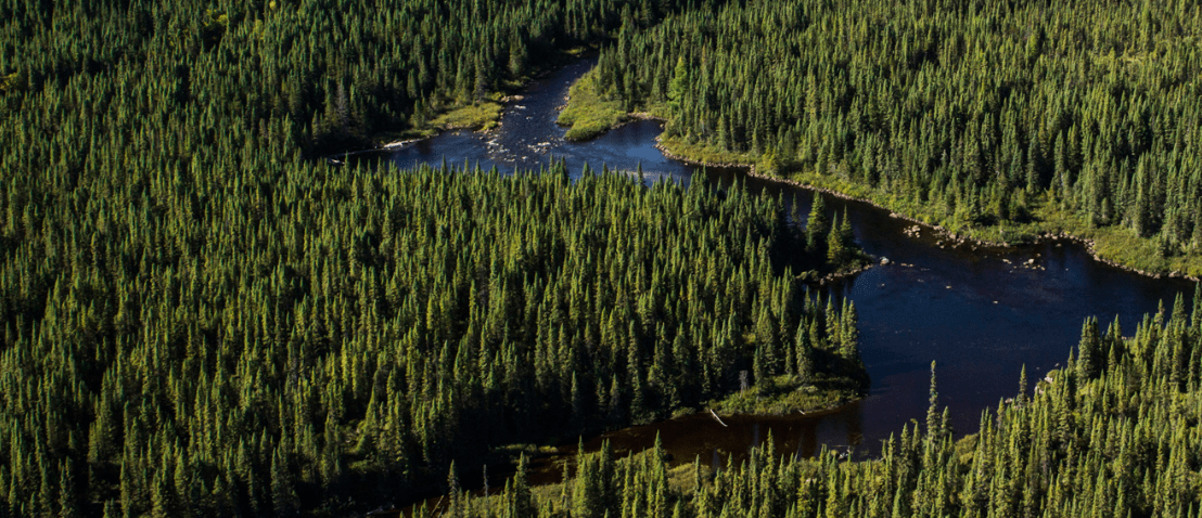 Canada forests